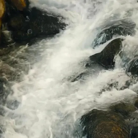 فيلة Miramar كالكان